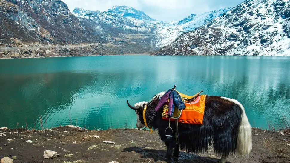 Sikkim is one of the best places to visit during Christmas in India 