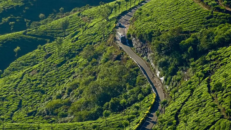 Munnar is one of the best places to visit in March in India 