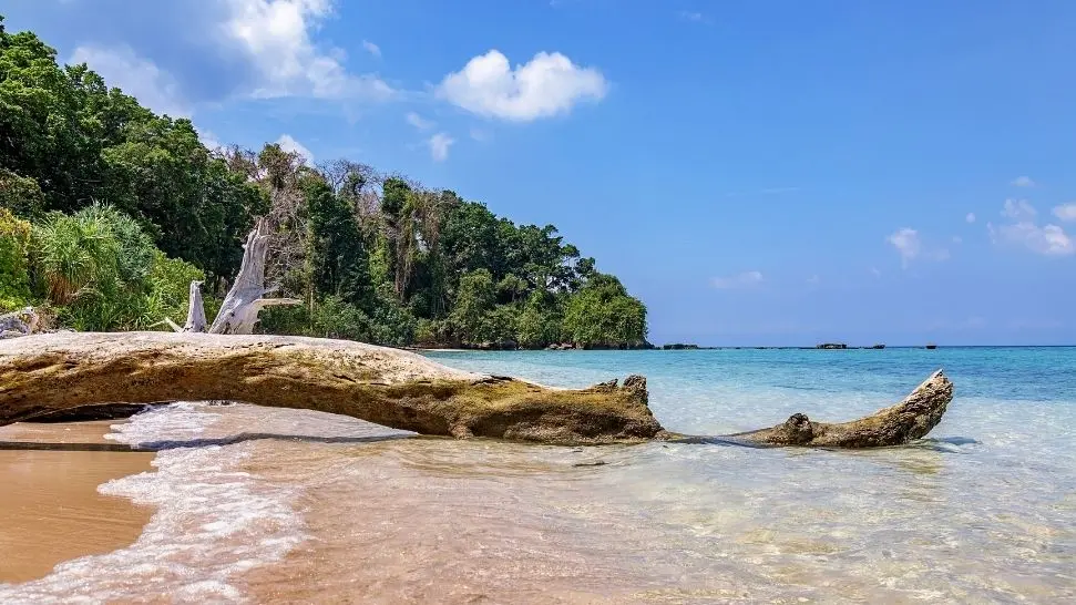 Jolly Buoy Island is one of the best places to visit in Andaman and Nicobar Island