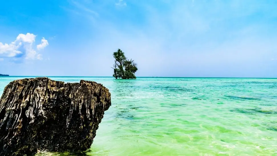 Ross And Smith Island is one of the best places to visit in Andaman and Nicobar Island