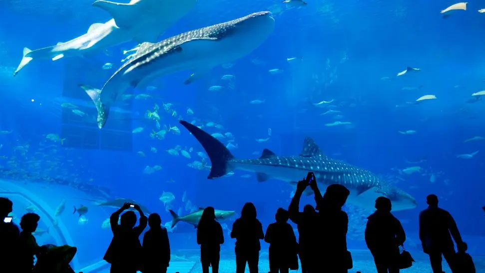 Marine Museum is one of the best places to visit in Lakshadweep