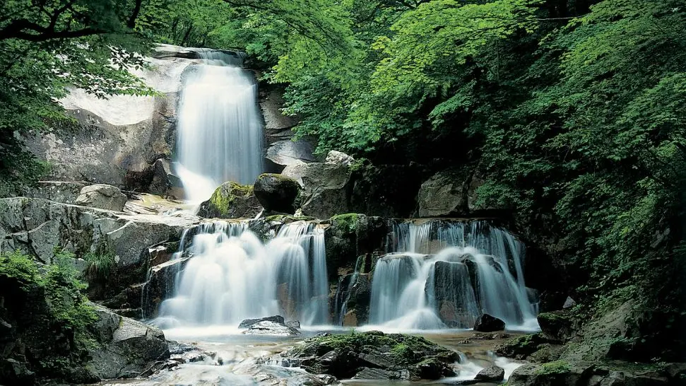 Meenmutty Waterfalls is one of the best places to visit in Wayanad