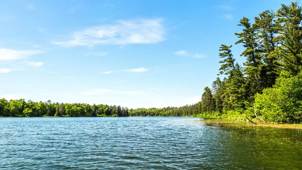 Pookot Lake is one of the best places to visit in Wayanad