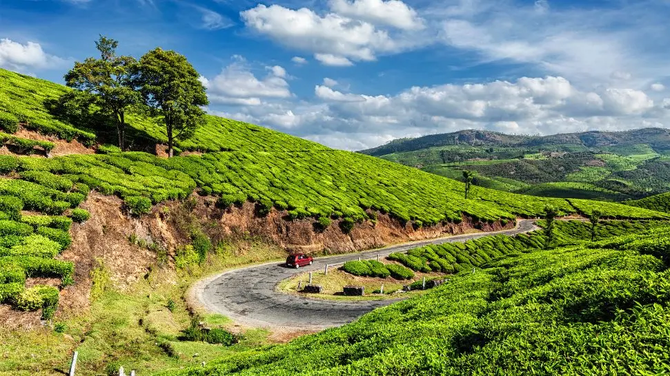 Munnar is one the top 30 honeymoon destinations in India in low budget