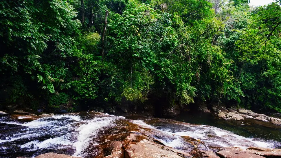 Shillong is one the top 30 honeymoon destinations in India in low budget