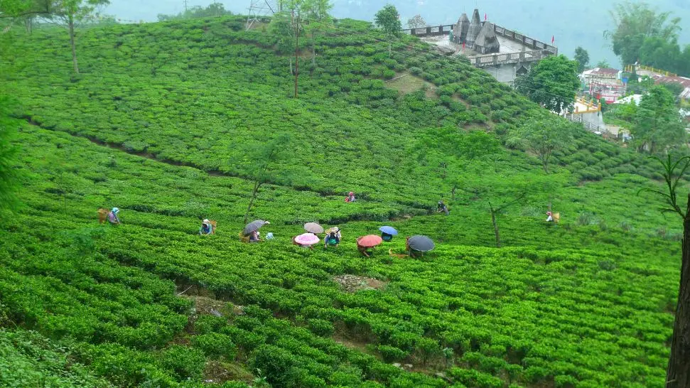 Darjeeling is one of the best honeymoon places in India in December