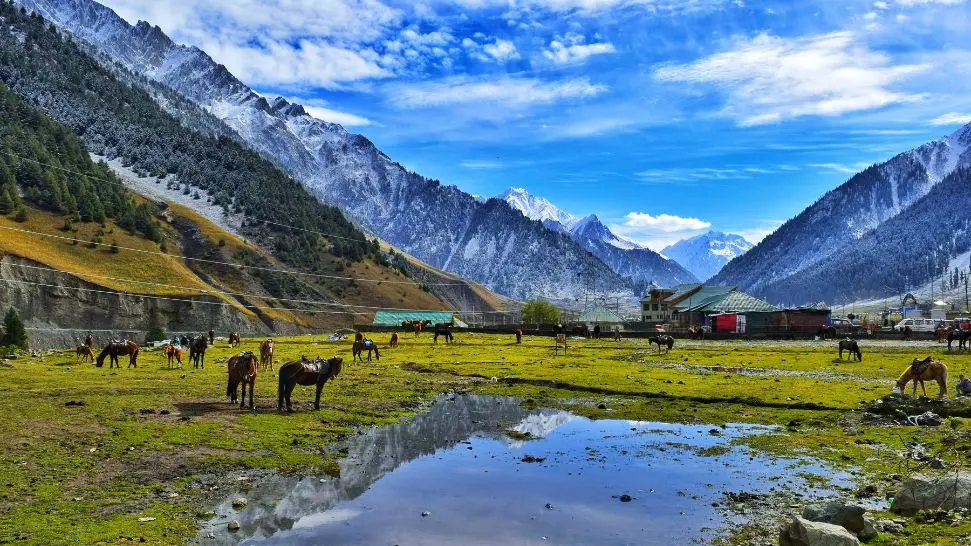Kashmir is one of the best honeymoon places in India in December