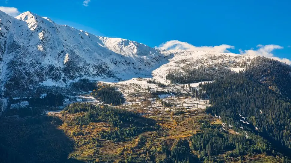 Narkanda is one of the best offbeat destinations in Himachal Pradesh