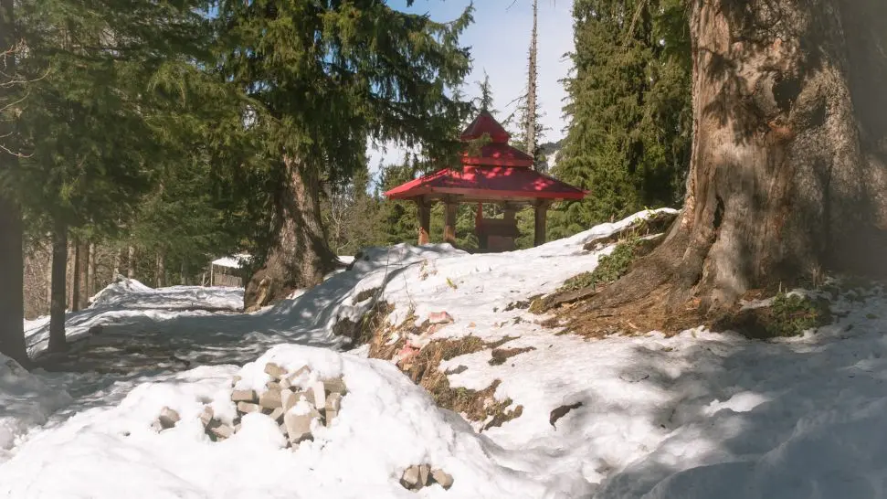 Shoja is one of the best offbeat destinations in Himachal Pradesh
