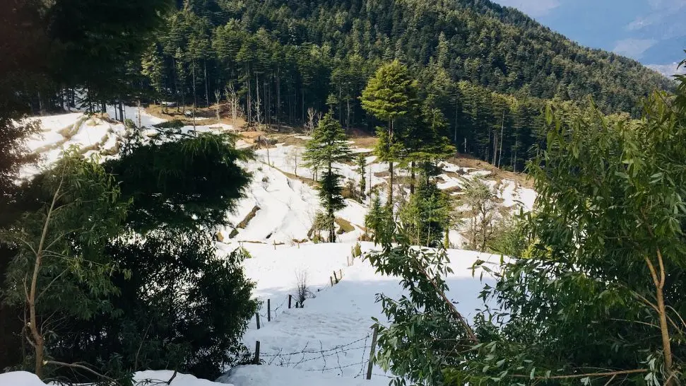 Patnitop is one of the best places Kashmir for Honeymoon