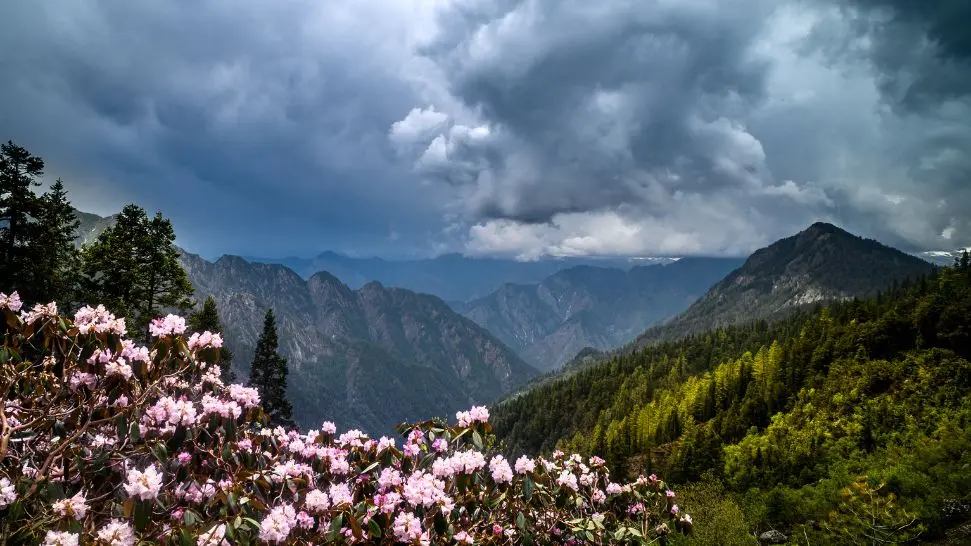 Sar Pass Trek is one of the best places to visit in Kasol