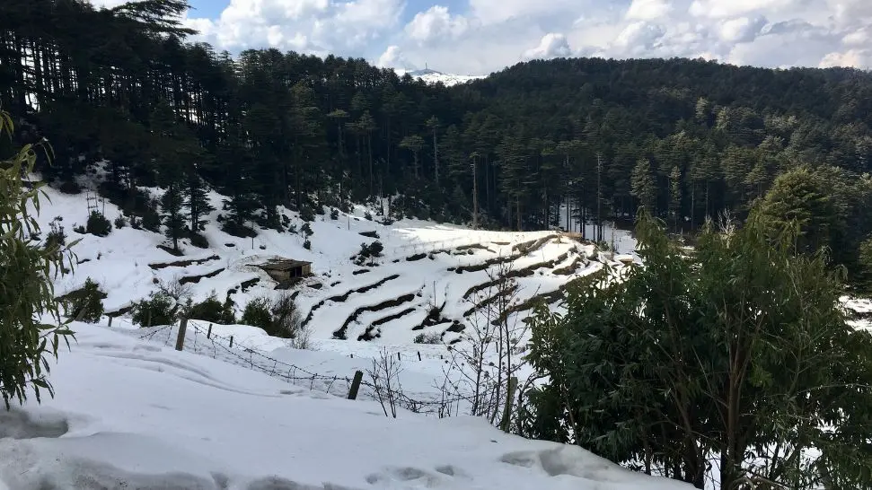 Patnitop is one the best places to enjoy snowfall in february in India