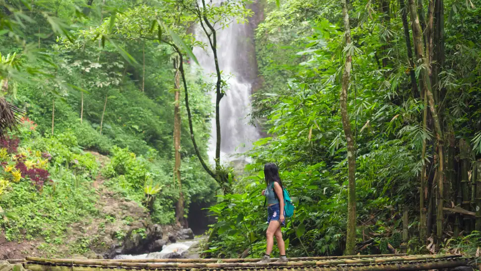 jungle trekking