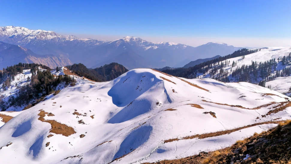 Gurso Bugyal is One of The Best Places to Visit in Auli in December