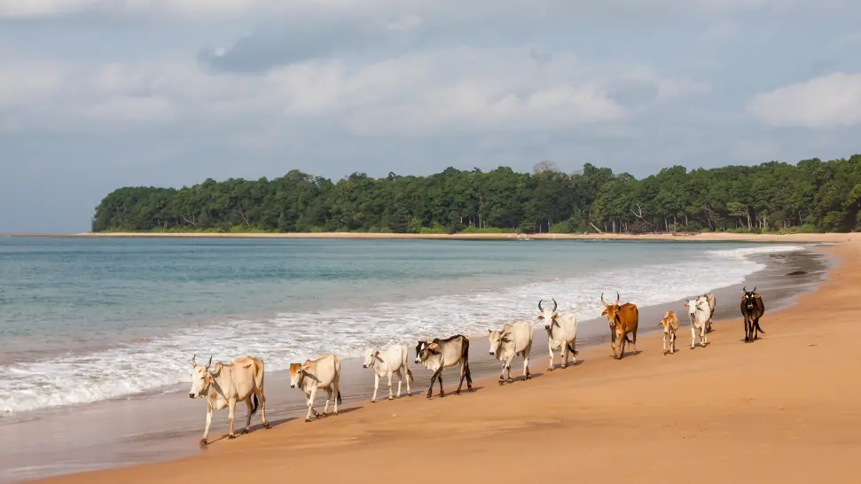 baludera Beach is one of the best beaches in Andaman and Nicobar Island