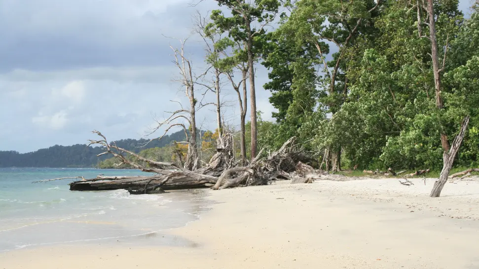 Elephant Beach is one of the best beaches in Andaman and Nicobar Island