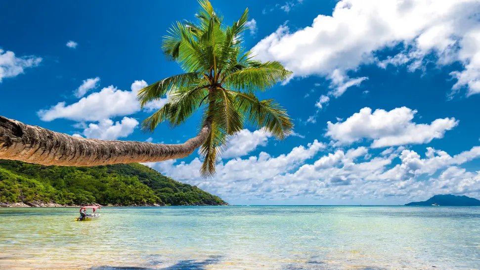 Goa is One of The Popular Beaches in India