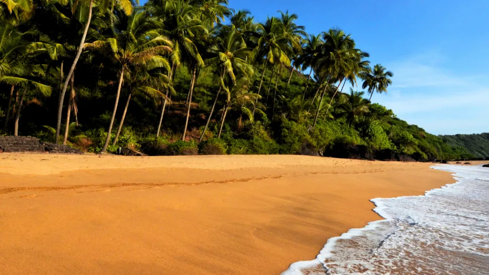 Cherai Beach is one of the most popular beaches in India