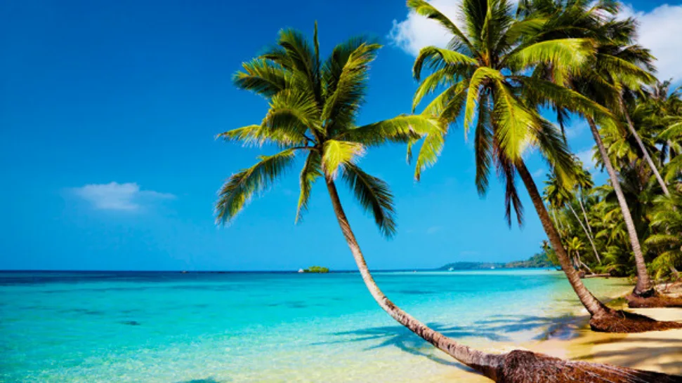 Corbyn's Cove Beach is one of the most popular beaches in India