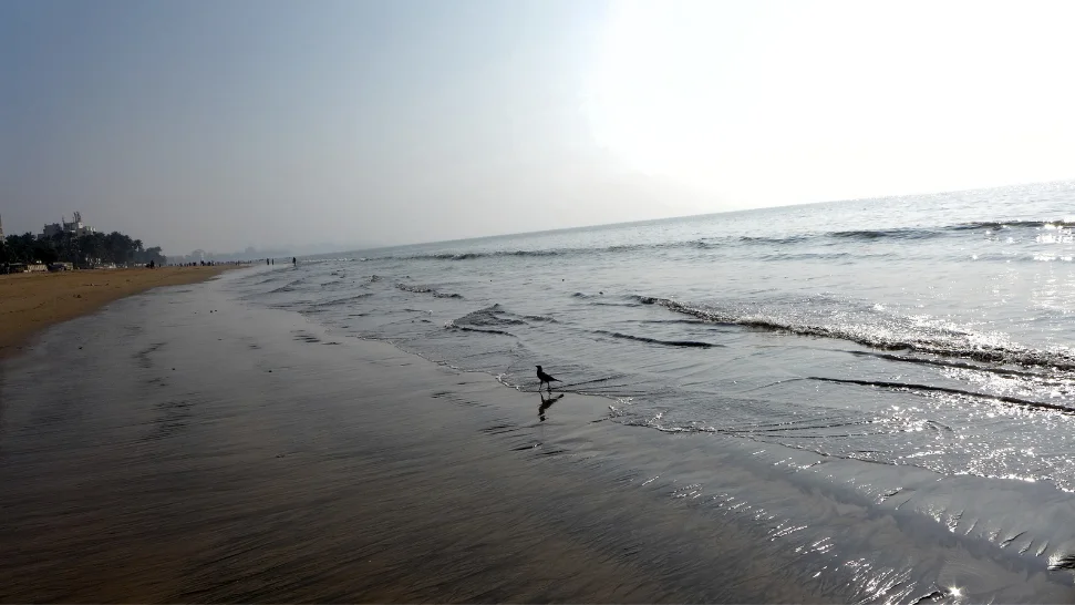 Juhu Beach is one of the most popular beaches in India