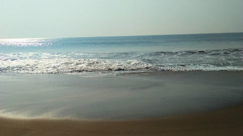 Konark Beach is one of the most popular beaches in India