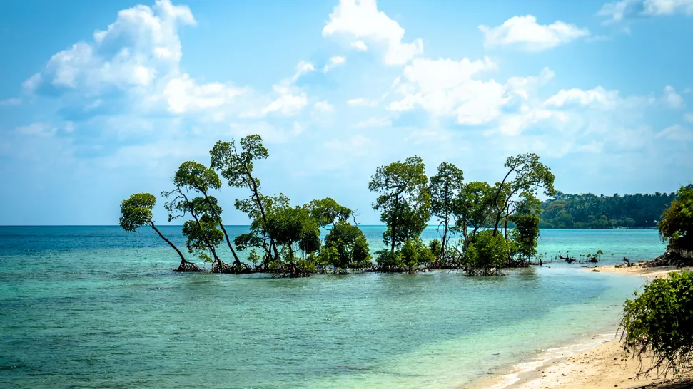 Laxmanpur Beach is one of the most popular beaches in India