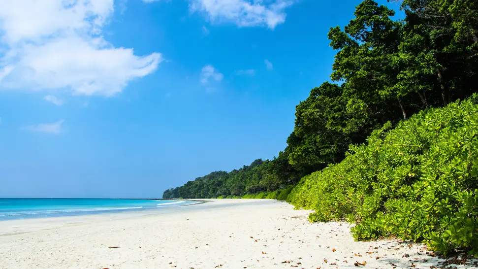 Radhanagar Beach is one of the most popular beaches in India
