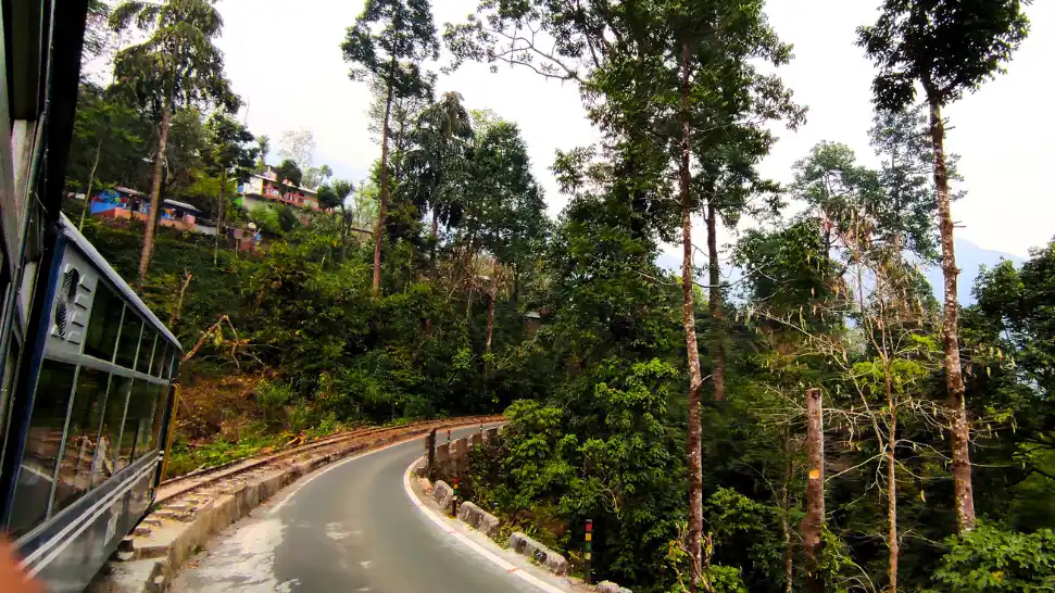 Siliguri Alipurduar Dooars train tea garden forest route