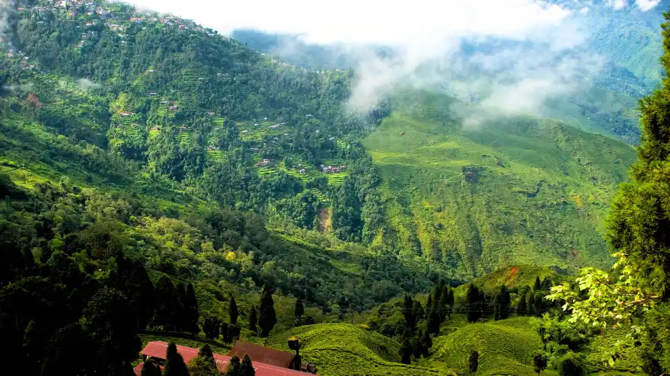 Darjeeling is One of The Best Hill Stations for Peace Seekers in India