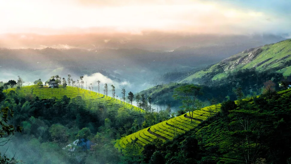 Munnar is One of The Best Hill Stations for Peace Seekers in India