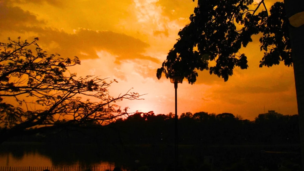 Sankey Tank is One of the best places to visit in Bangalore