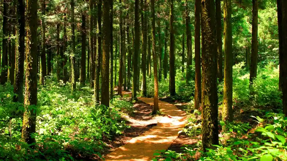 Skandagiri is One of the best places to visit in Bangalore