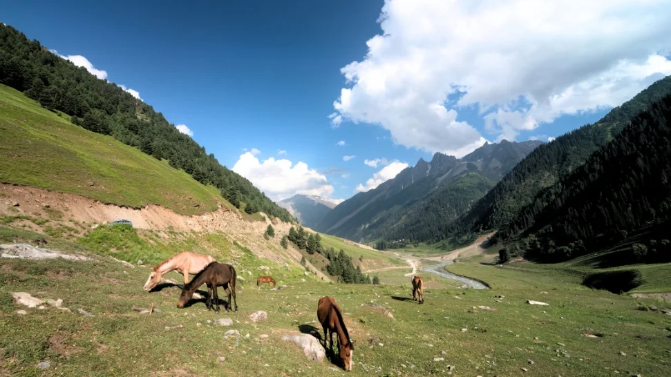 Sonmarg is one of the best places to visit in Kashmir