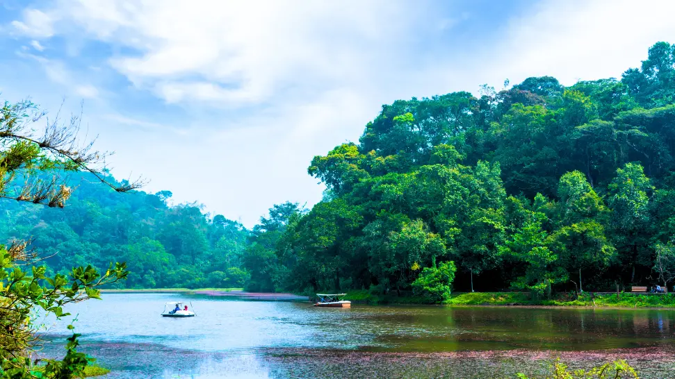 Lush green forests and waterfalls in Wayanad during monsoon season