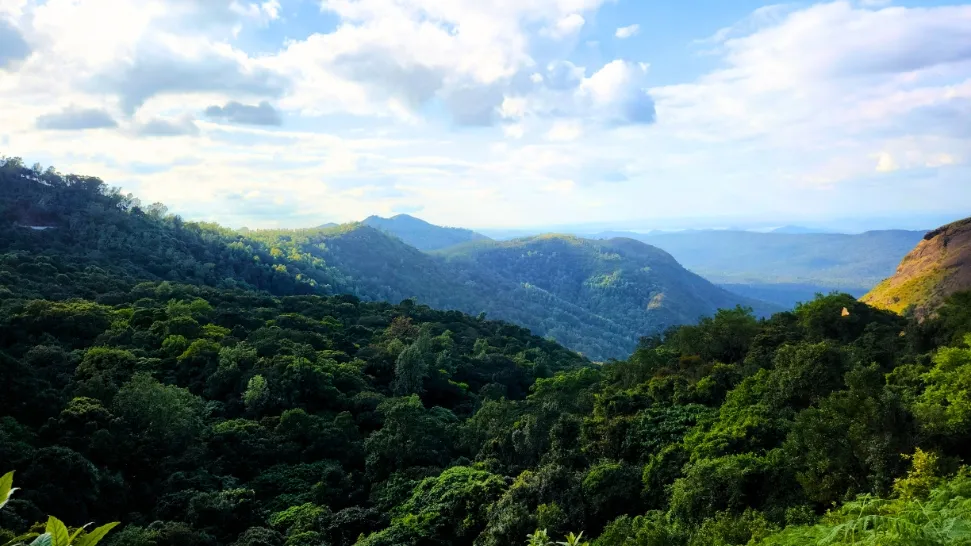 Chikmagalur is One of The Best Places to Visit in Summer in India