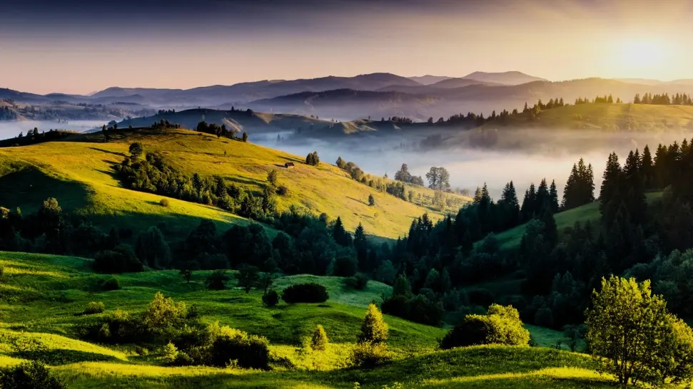 Kodaikanal is One of The Best Places to Visit in Summer in India
