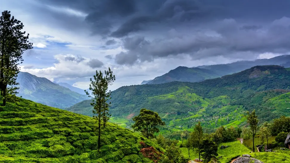 Wayanad is One of The Best Places to Visit in Summer in India