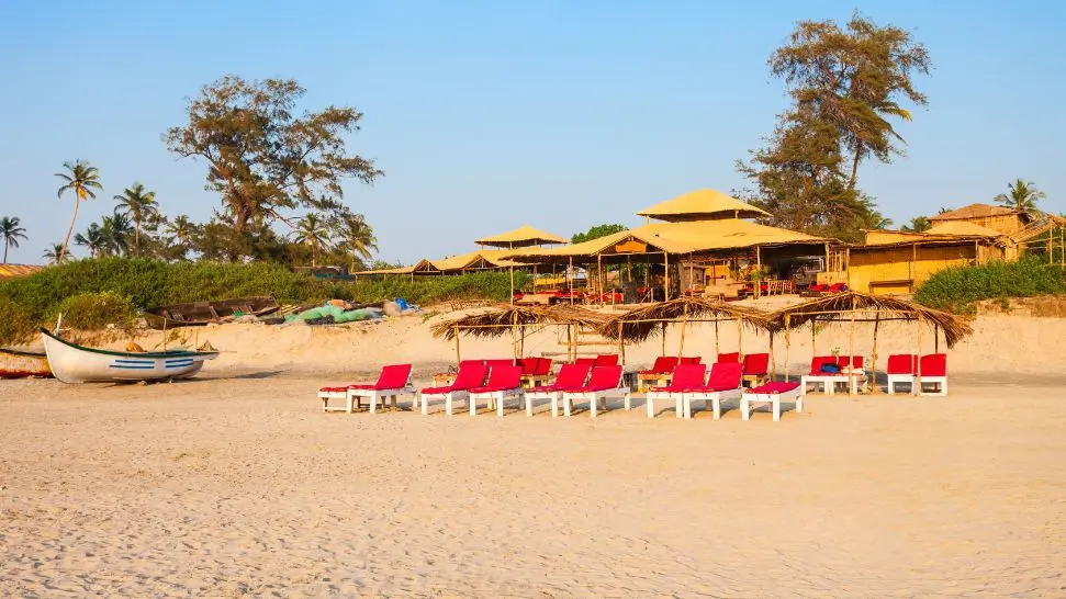 Pisco By The Beach is one of the best shacks in goa 