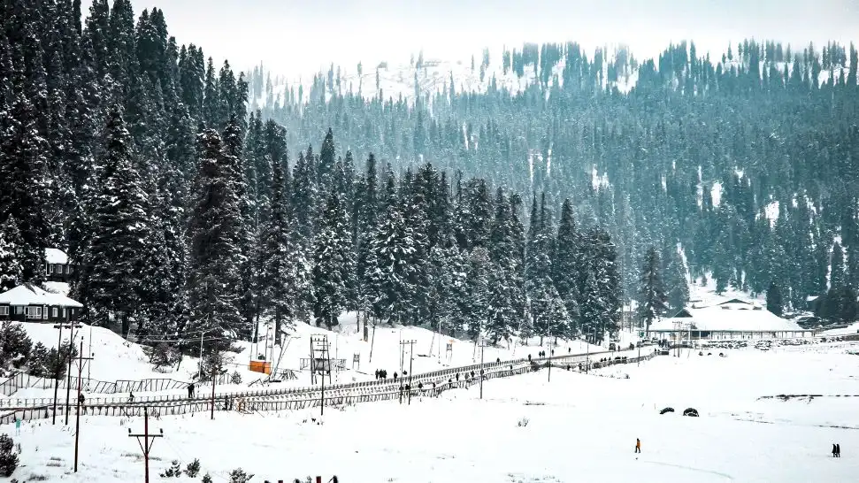 Best Time to Visit in Kashmir