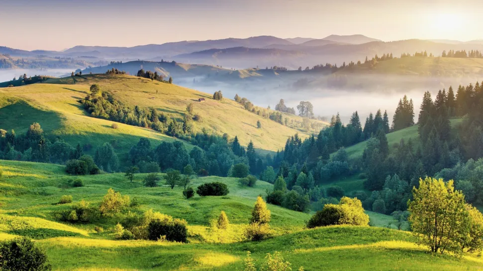 Kodaikanal is One of The Best Cold Places in South India During Summer