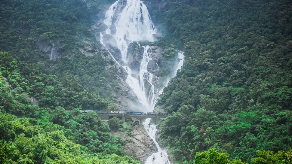 Dudhsagar Waterfall Trek is one of the best adventure activities in Goa.