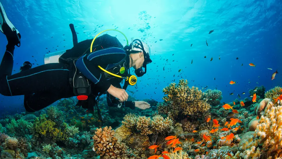 scuba diving is one of the adventure activities in Goa