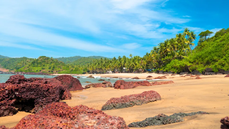 Hollant Beach: A Picture-Perfect Destination is One Of The Best Hidden Gems in Goa in December