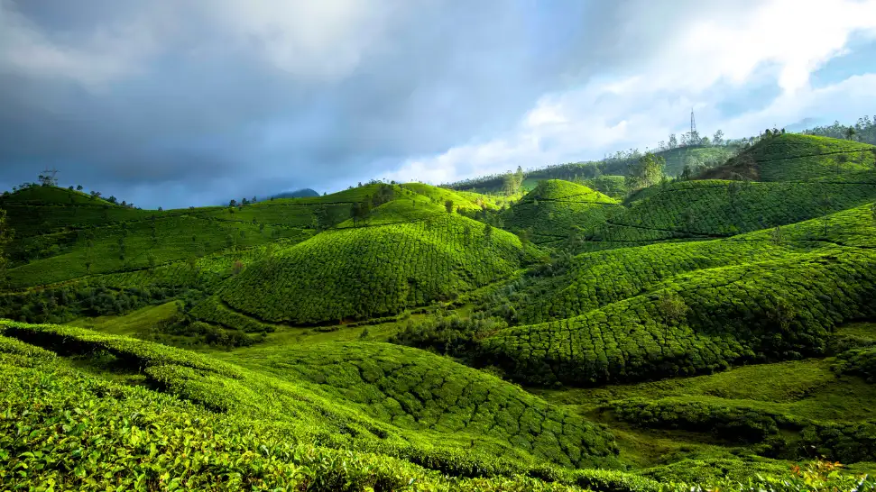 Devikulam is One of The Best Hill Station in India