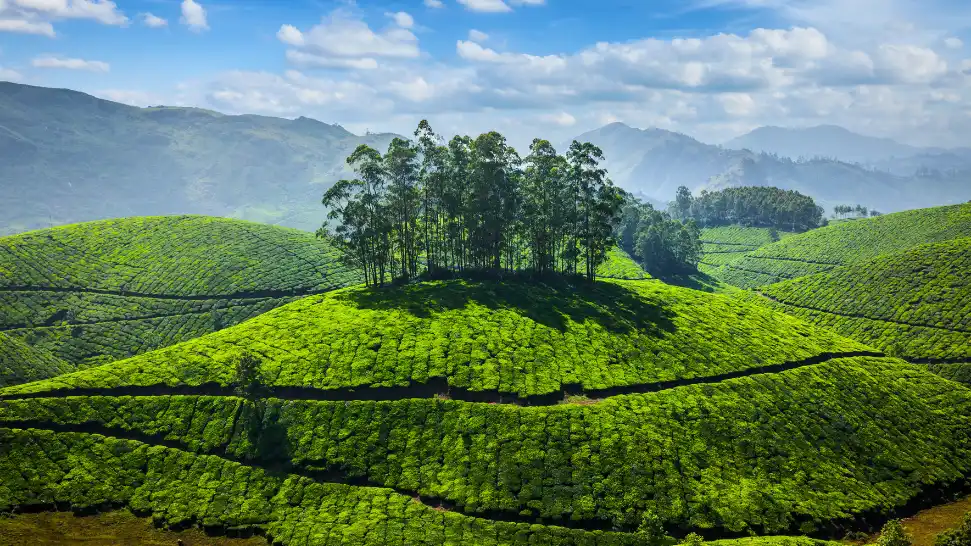  One of The Best Hill Stations in India