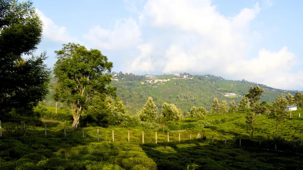 Kotagiri is One of The Best Hill Station in India