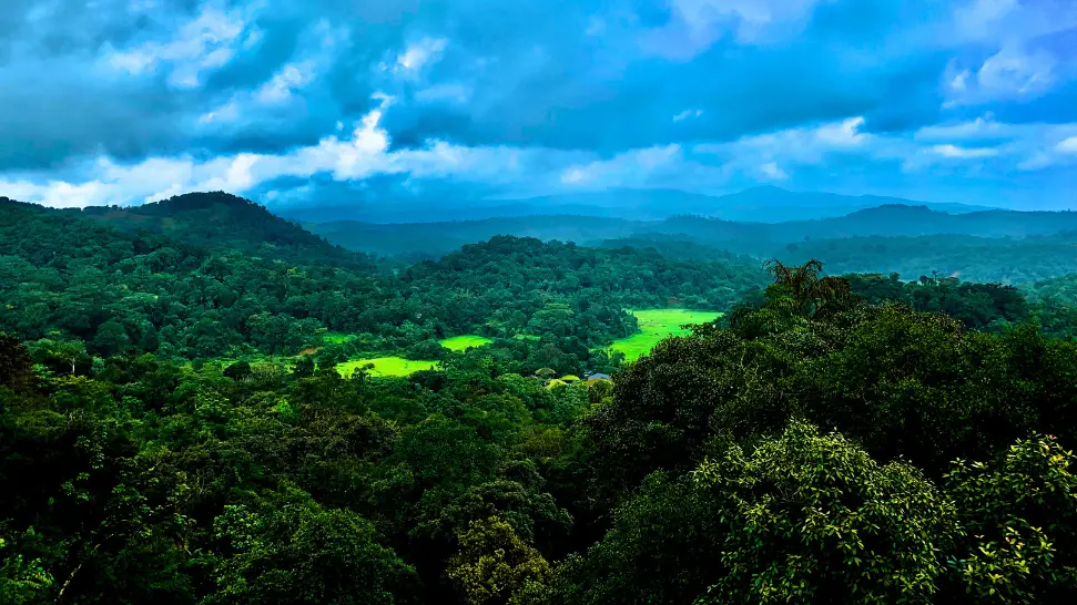 Beautiful coffee estates and Abbey Falls in Coorg hill station near Bangalore