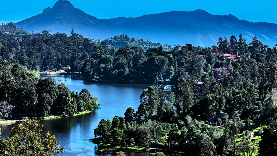 Peaceful Kodaikanal Lake surrounded by misty hills and pine forests