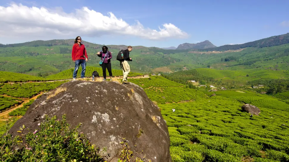 Lush tea plantations and rolling hills in Munnar Kerala