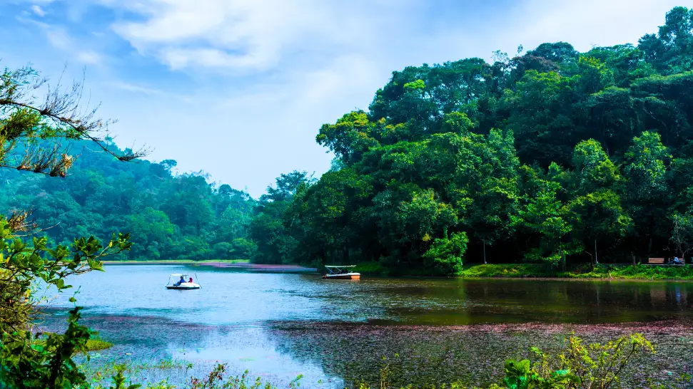 Mist-covered mountains and green valleys in Wayanad Kerala